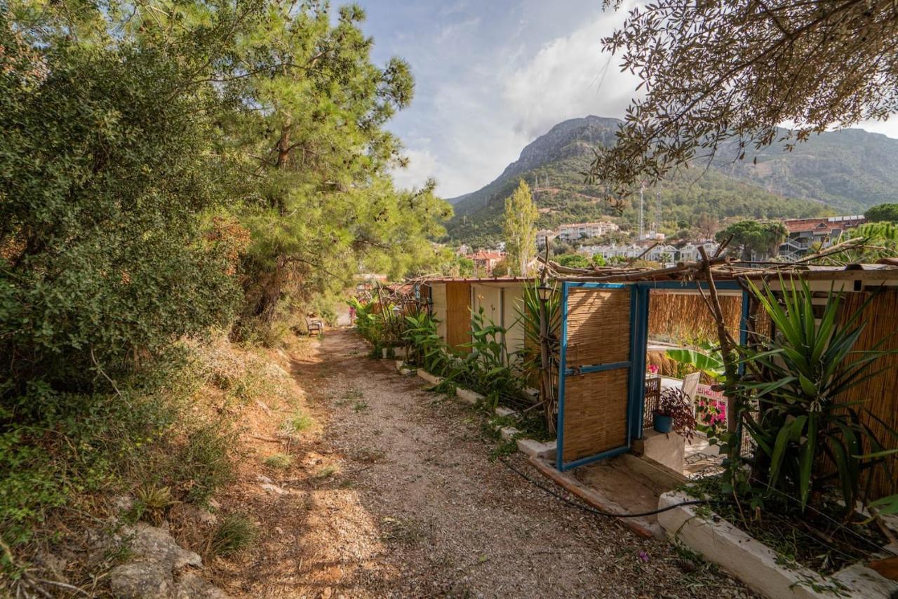 Begonvilla Bungalows Fethiye Eksteriør bilde