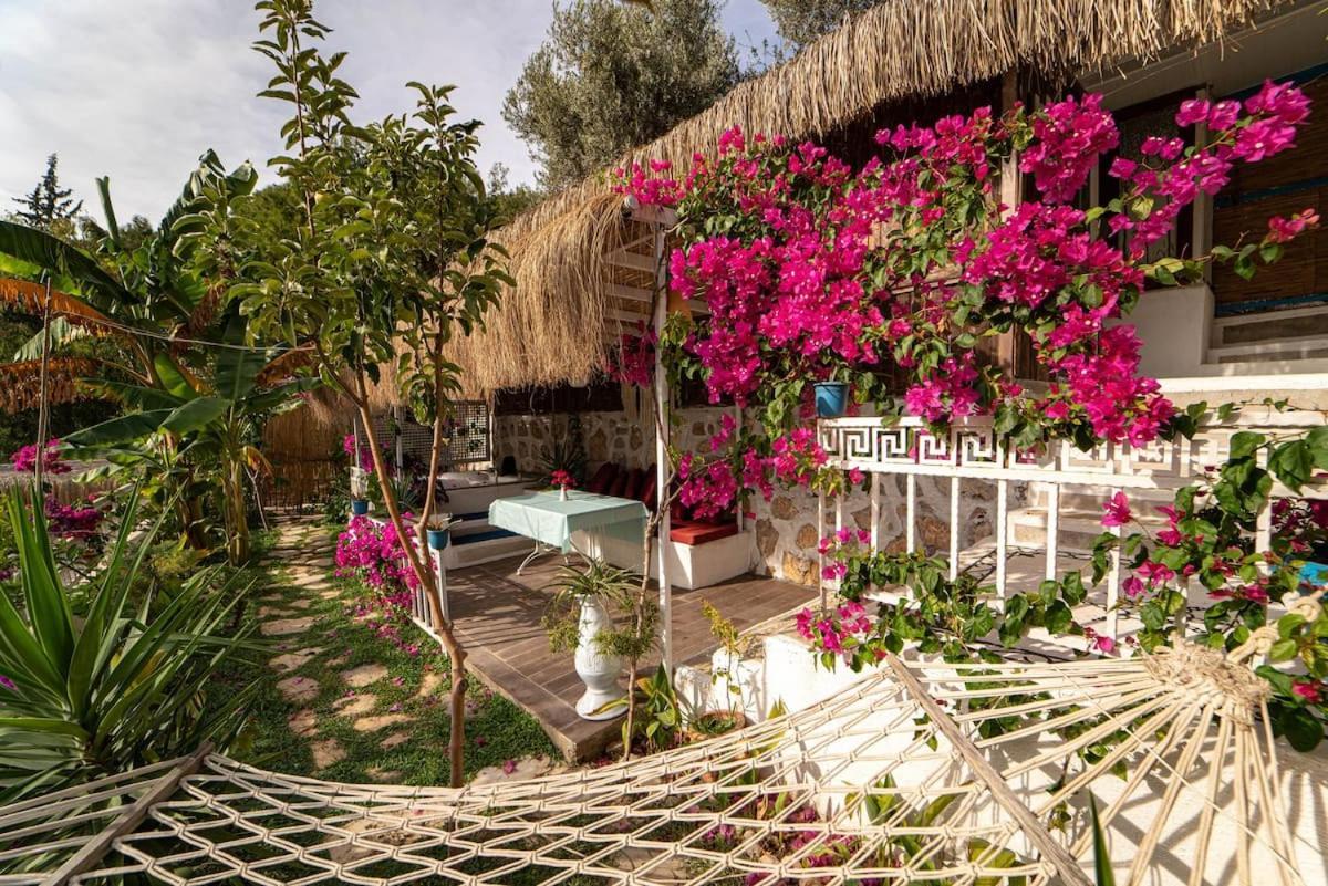 Begonvilla Bungalows Fethiye Eksteriør bilde