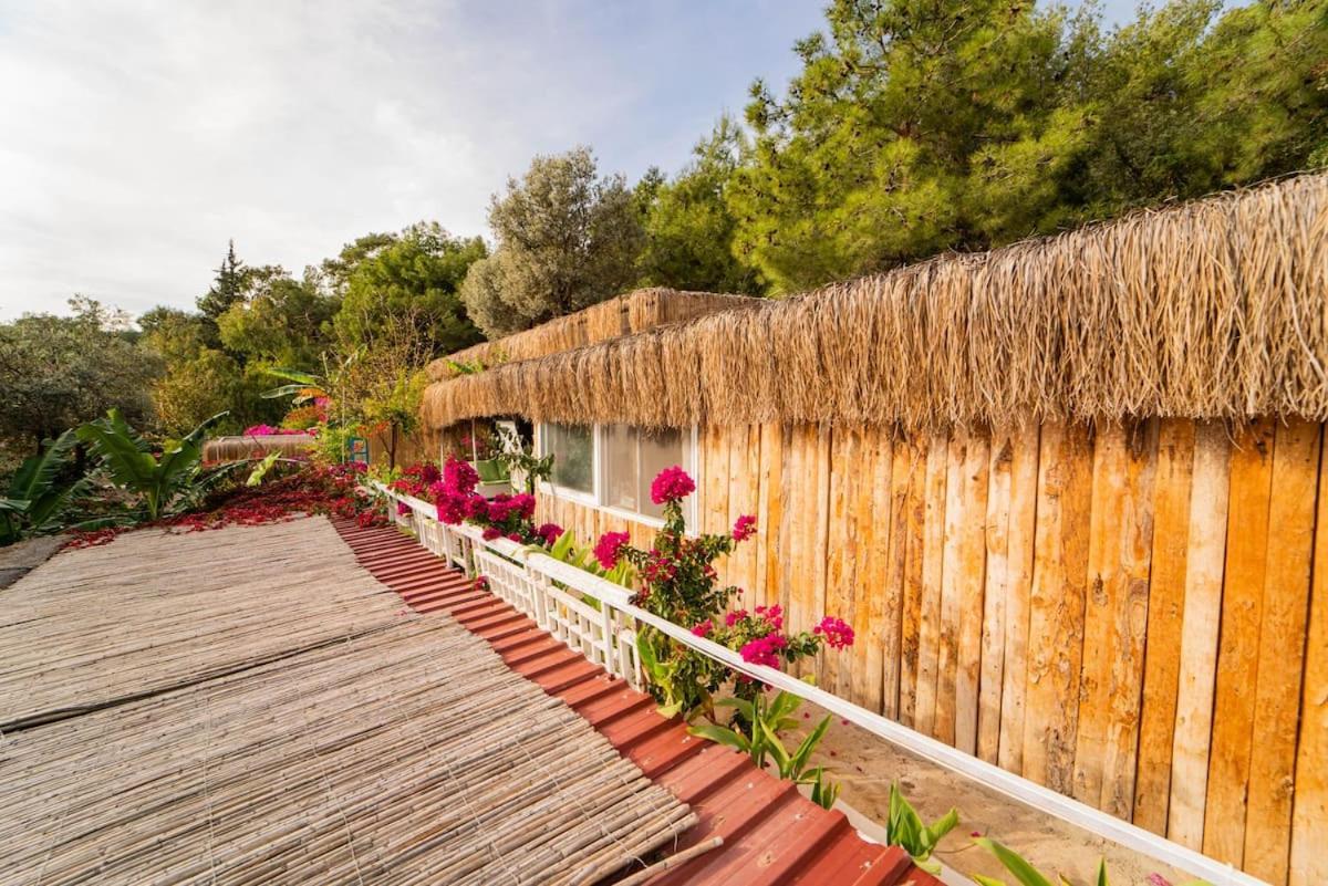 Begonvilla Bungalows Fethiye Eksteriør bilde